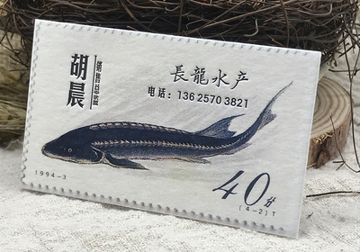 意大利绵纸